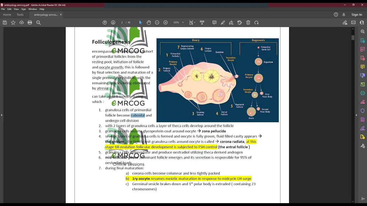 embryology for mrcog part 1,arabic,01