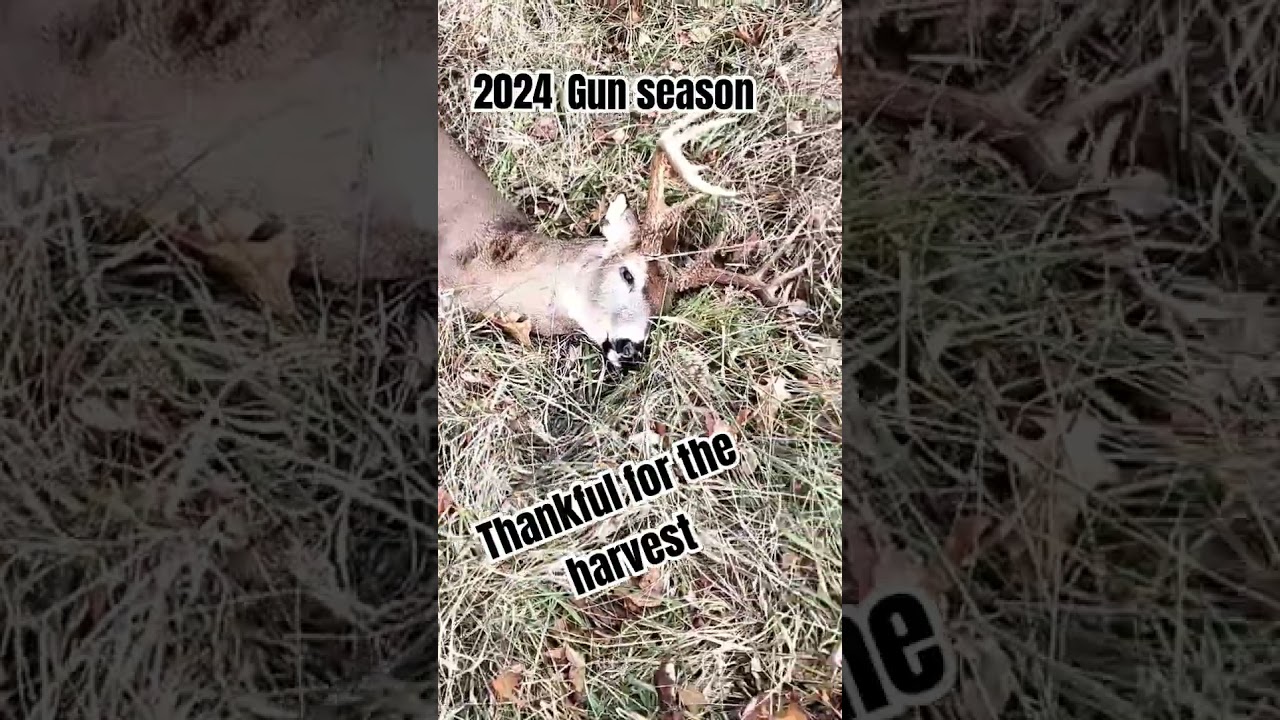 OHIO 2024 GUN SEASON.                 Old man still can shoot. 
