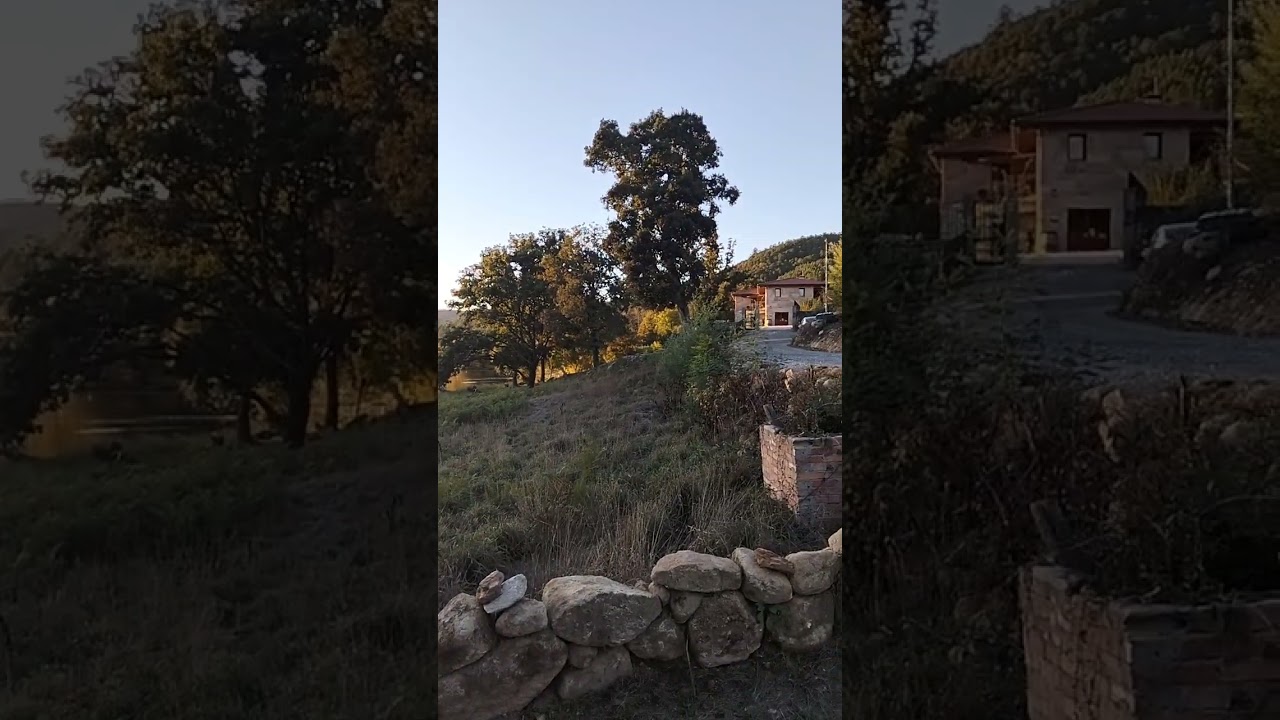 vista a pie de r&iacute;o🫧🫧🌳