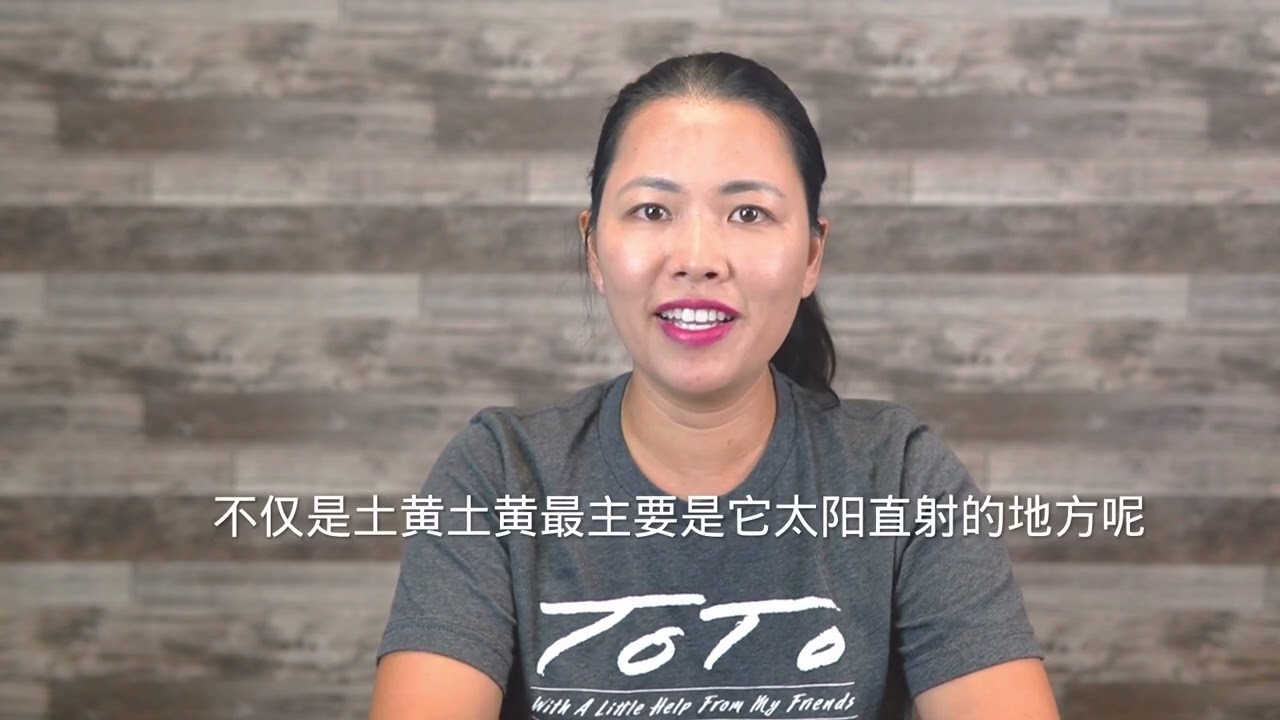 是木地板，复合地板，Vinyl和Laminate区别和特征