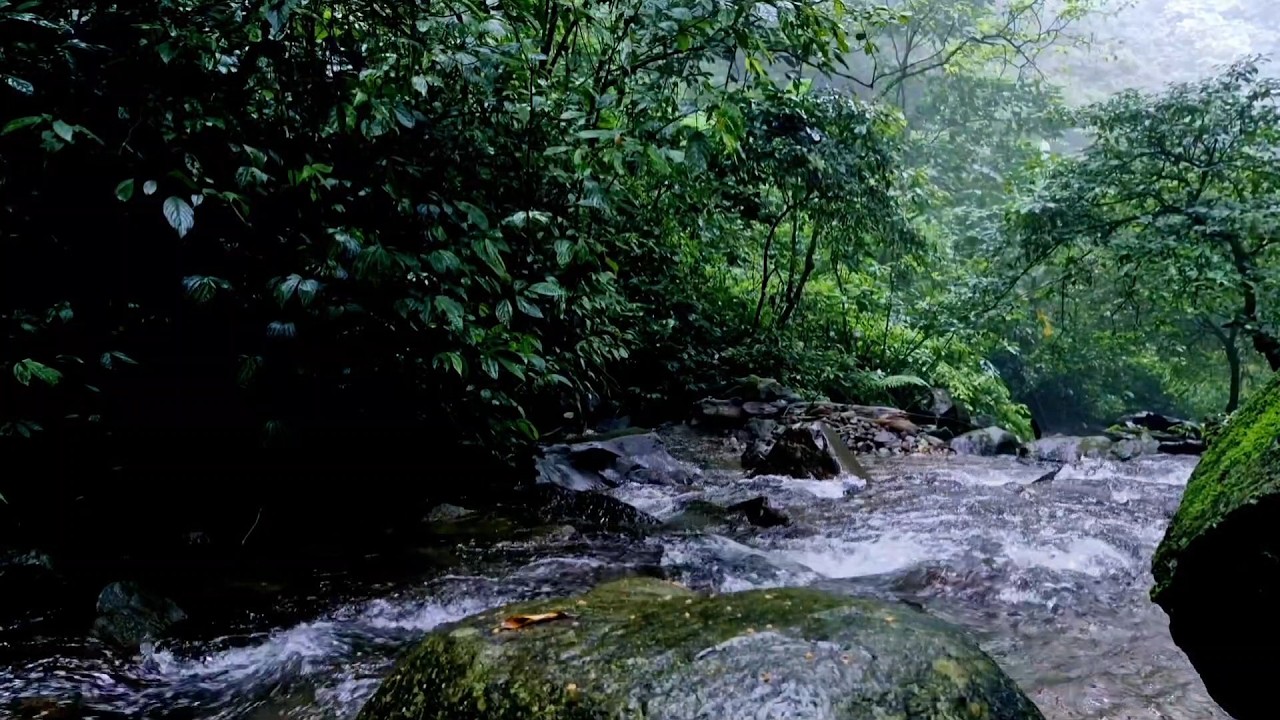 Flowing River Ambience for Meditation  No Birds ASMR
