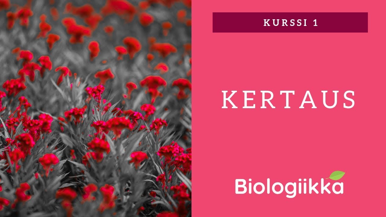 Biologia kurssi 1 tärkeimmät asiat