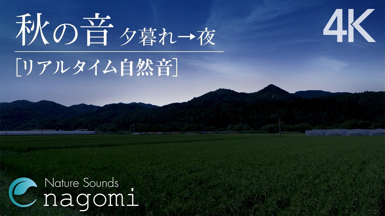 【環境音/ASMR】虫の声・癒しの音｜静かな田舎の虫の声・秋の音｜勉強・睡眠・作業用BGM｜自然音・Nature Sounds