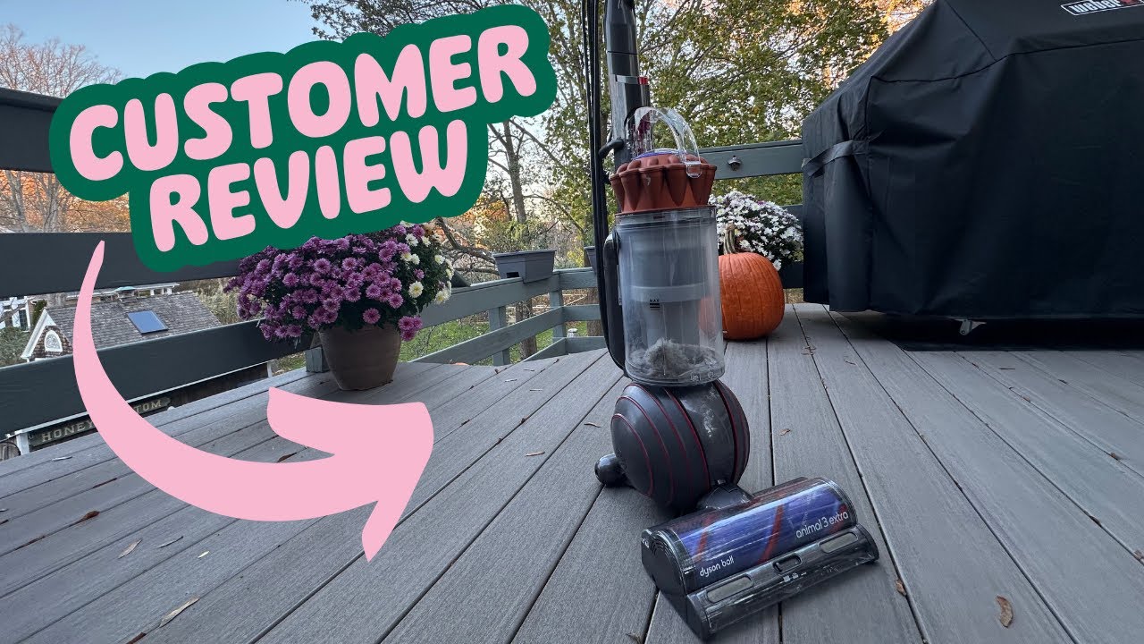 Review: Dyson Ball Animal 3 Vacuum