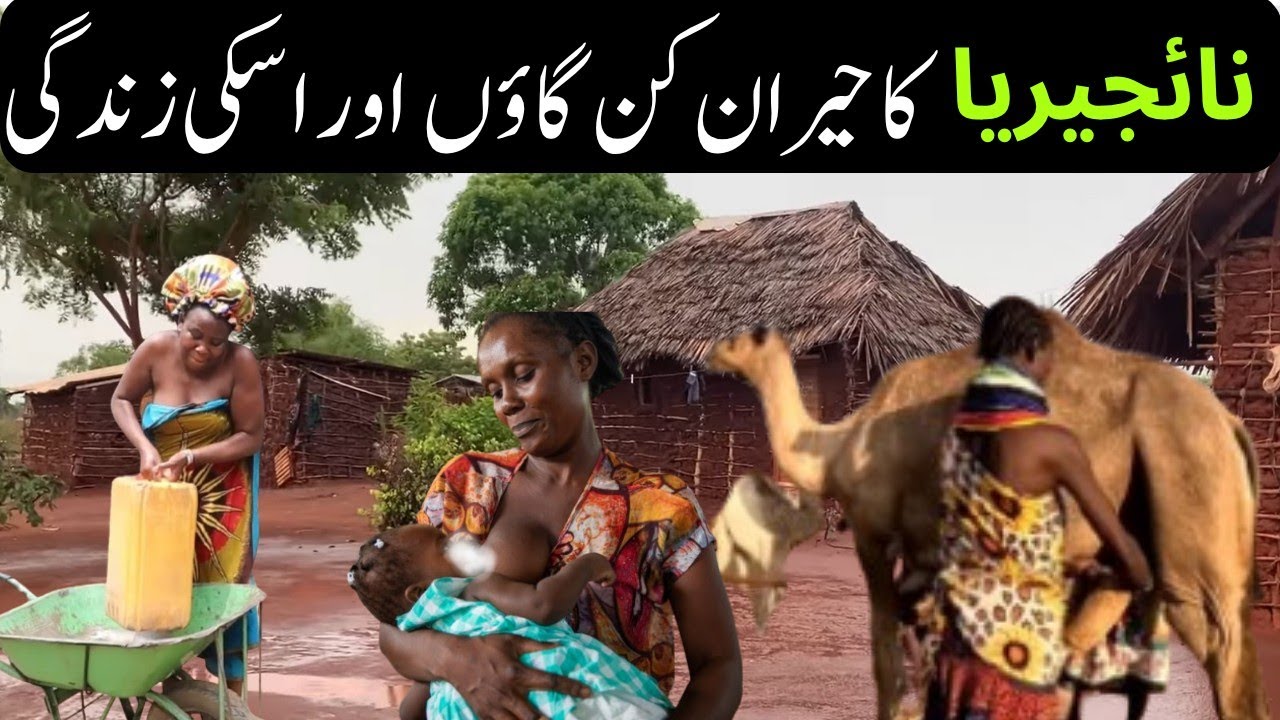 Traveling Through Nigeria’s Remote Villages | True African Life | organic life of Nigerian village |