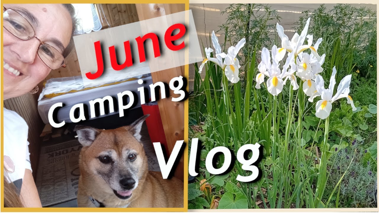 #camping #ogr&oacute;dek #czerwiec  #vlog