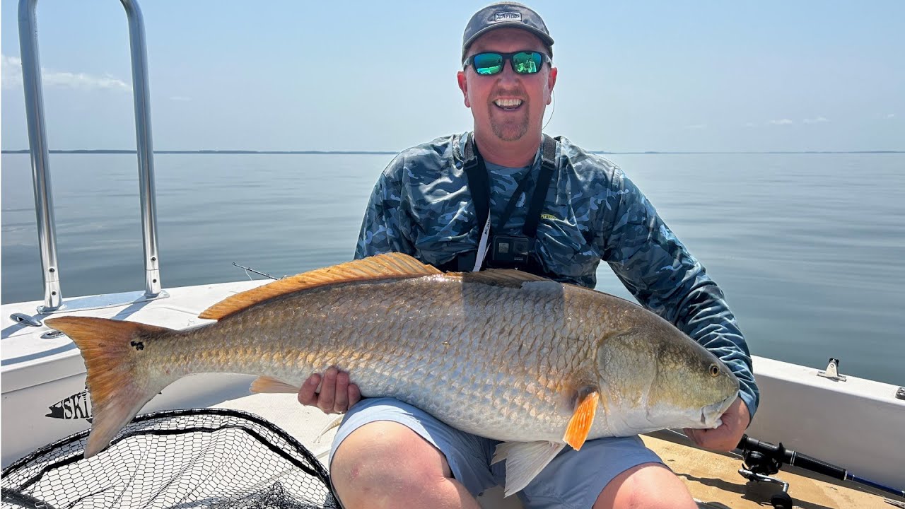 Fishing for Giant Bull Red Drum in the Chesapeake Bay