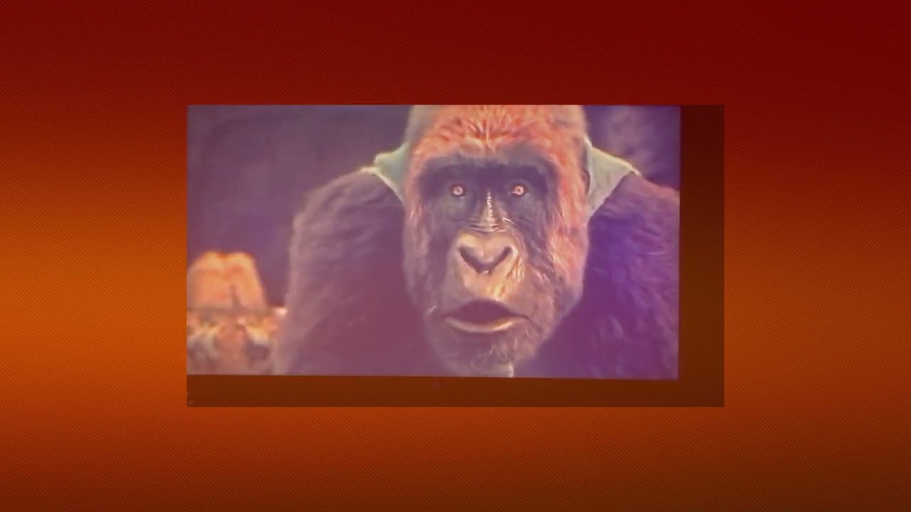 Dolittle Tiger vs Gorilla Fight (Resound)
