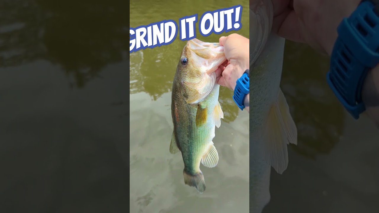 Grind it out! The payoff...#fishing #bassfishing #6thsensefishing