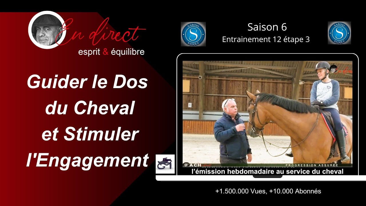 Gaelle Cavalière INVITÉE découvre comment améliorer le fonctionnement du dos de son cheval