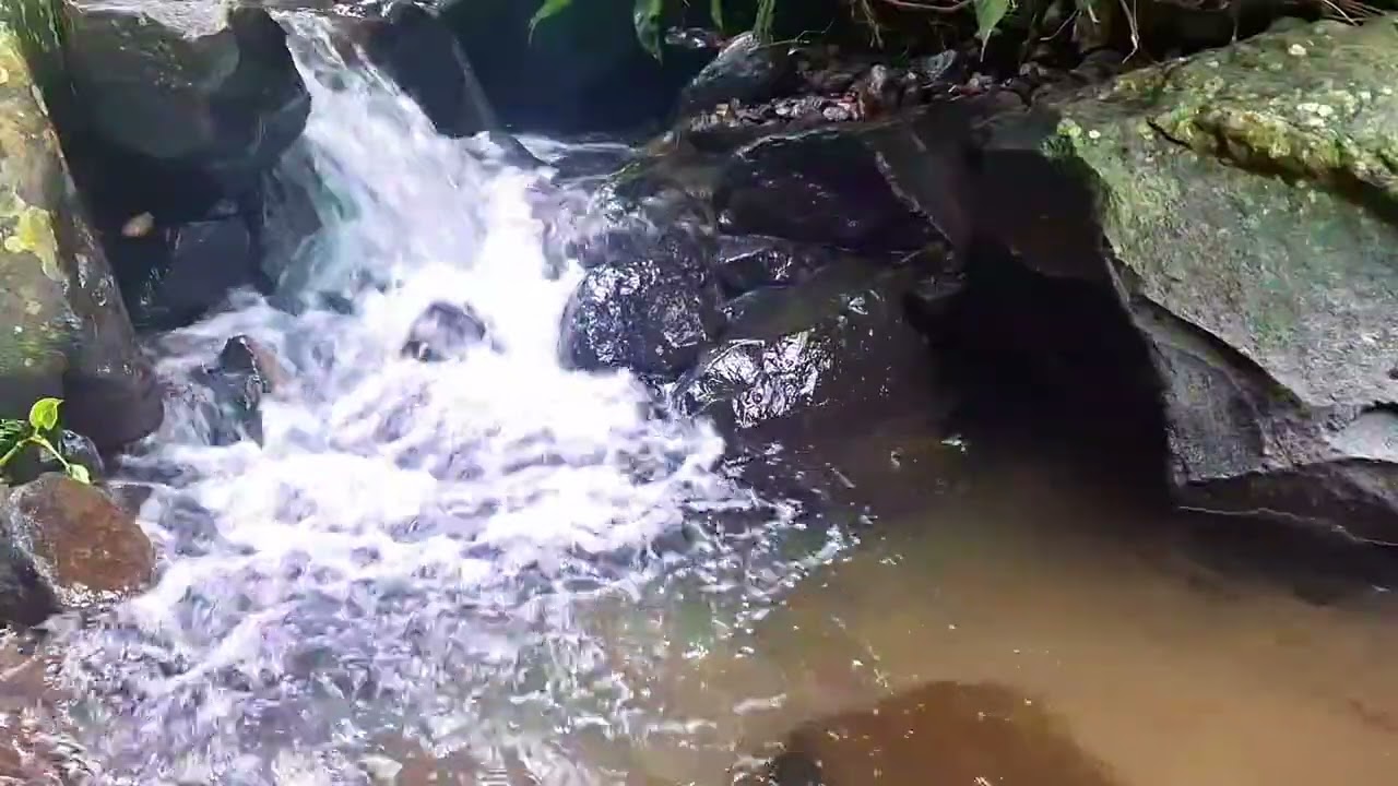 Calm River Ambience for Inner Calm