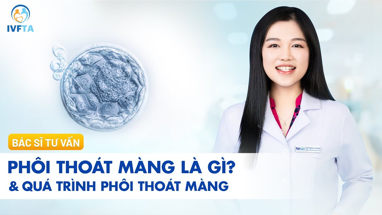 Phôi thoát màng là gì? Quá trình phôi thoát màng làm tổ thế nào? | ThS.BS Trần Ngọc Vân Anh