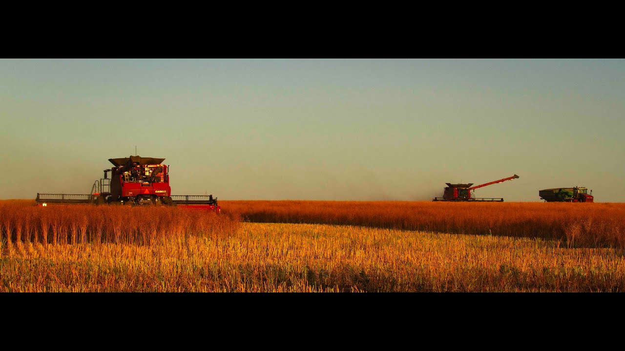 Massive harvest on the wide open spaces of Australia.