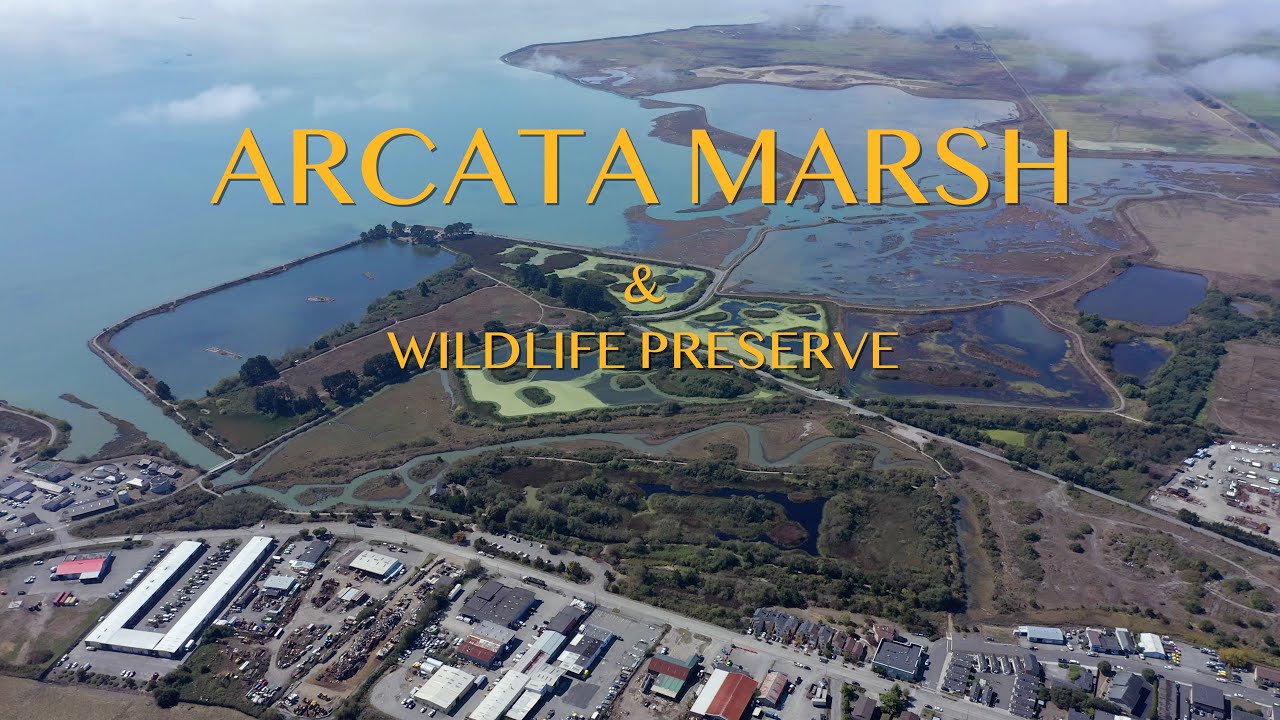 Arcata Marsh & Wildlife Preserve - Aerial Views