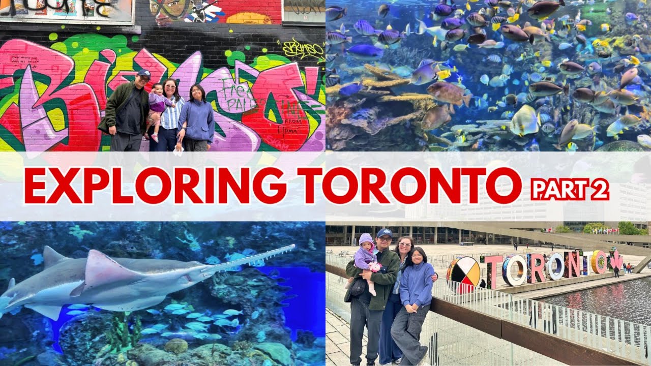 Must-Visit Toronto Spots! Ripley&rsquo;s Aquarium + Graffiti Alley + Toronto Sign