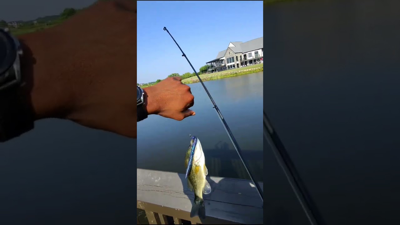 Let's Go Fishing 🎣 PT.1 #bassfishing #fishing #mensmentalhealth