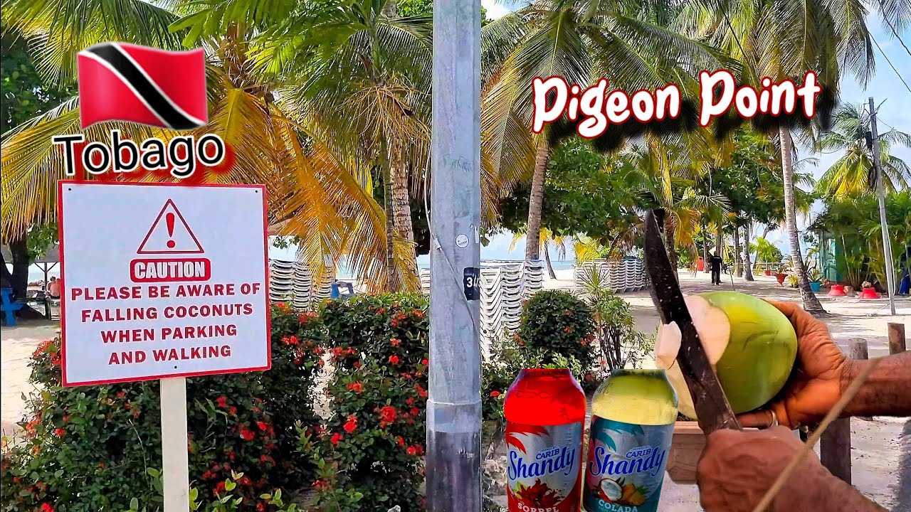 🇹🇹 Pigeon Point Tobago, Escape to Paradise 🌴