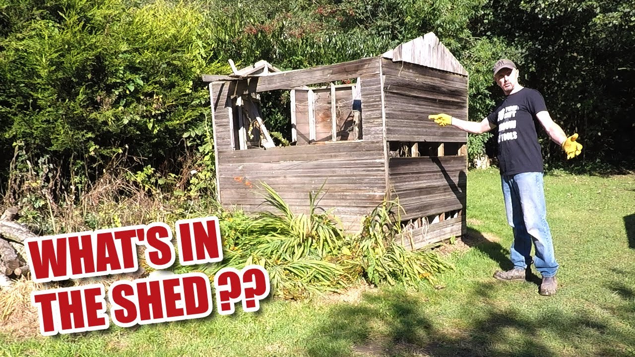 What was in our old shed? (1920's Renovation Part 35)