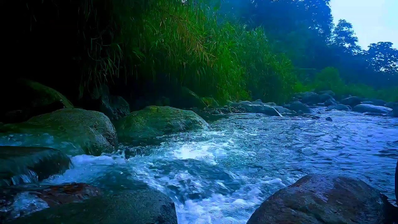 🌊 Gentle Moonlight River ASMR Sounds for Deep Sleep, Relaxation & Inner Calm