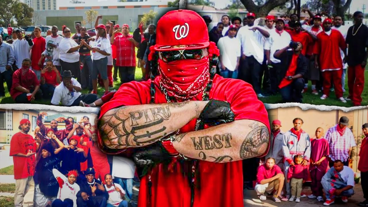 Trapped in Bompton: Treetop Pirus vs. Everybody