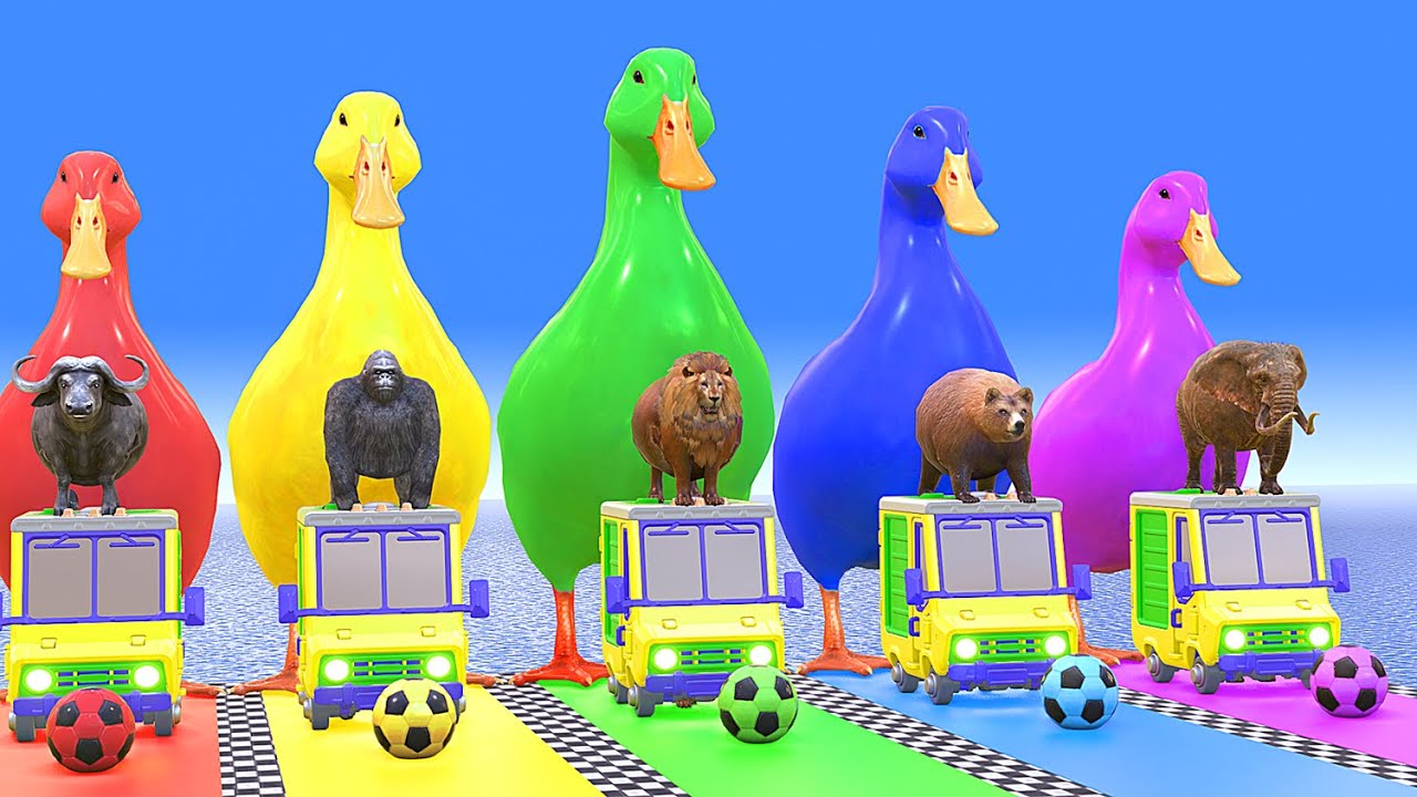 5 Giant Duck Cartoon,Cow,Elephant,Tiger,Lion,Dinosaur,Paint Wild Animals Crossing Fountain Animation