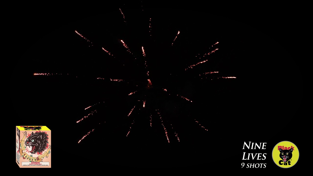 Nine Lives - Black Cat Fireworks