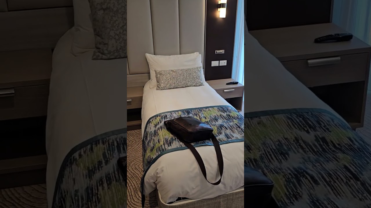 Tour of accessible cabin 10107 on the Sun Princess.
