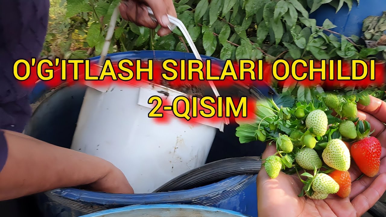 DEXQON AKAMIZ SIRLARNI OCHDI . 2- QISIM. QULUPNAY KOREYSKI SEOLHYANG NAVI