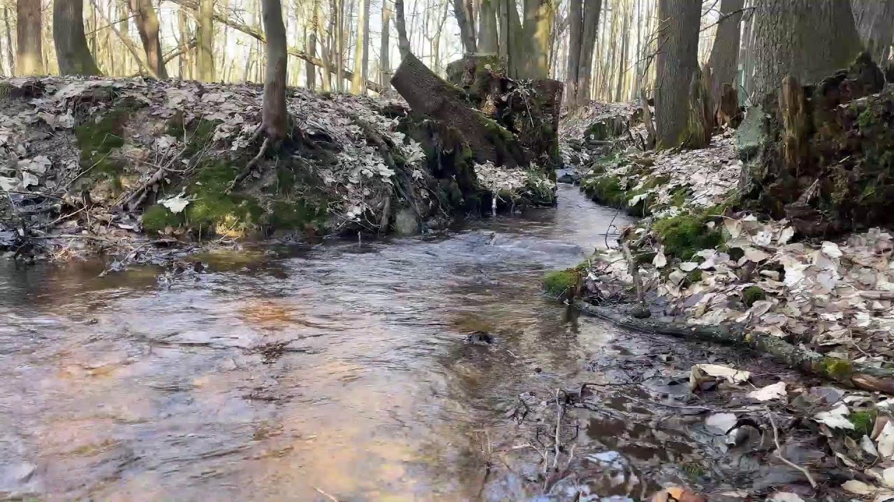 Beautiful  ASMR water sounds