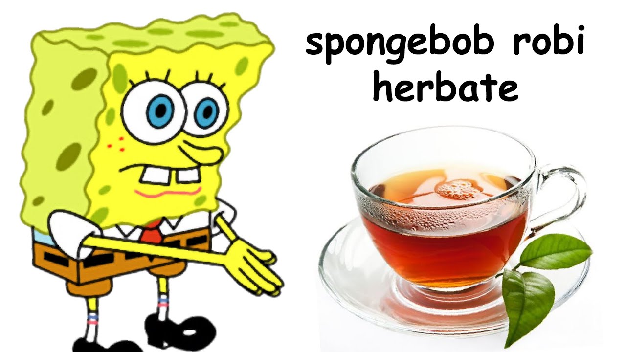spongebob robi herbate