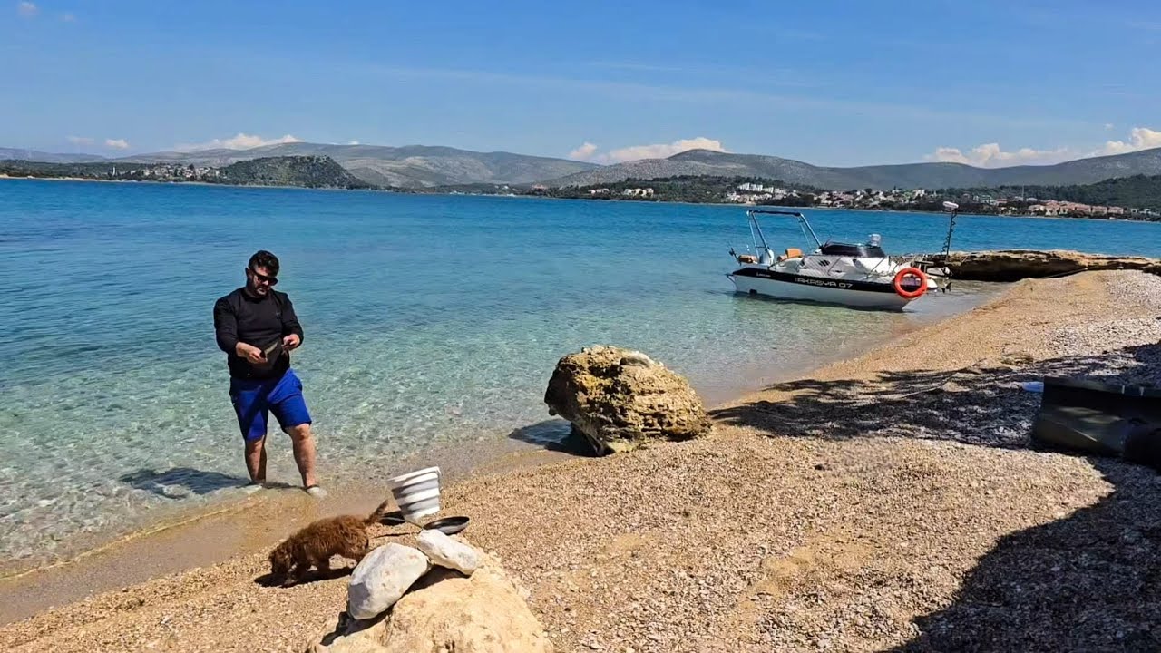 📌🐋🌊HEM TEST ETTİK HEM AVLANDIK! | ÇEŞME ILDIR’DA EFSANE  TEKNE TURU.#tekne #terapi #deniz #balık🐋🛥🚢