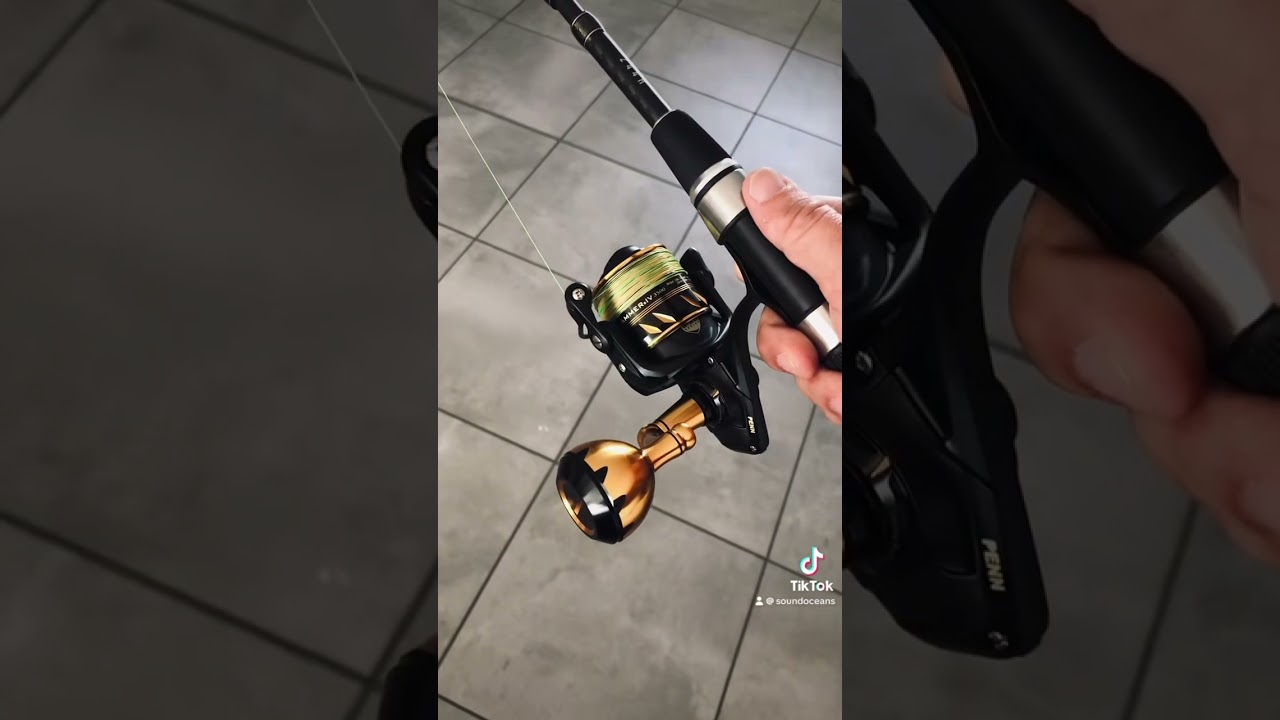 Penn Slammer IV Reel and Daiwa Saltiga Braid 🎣