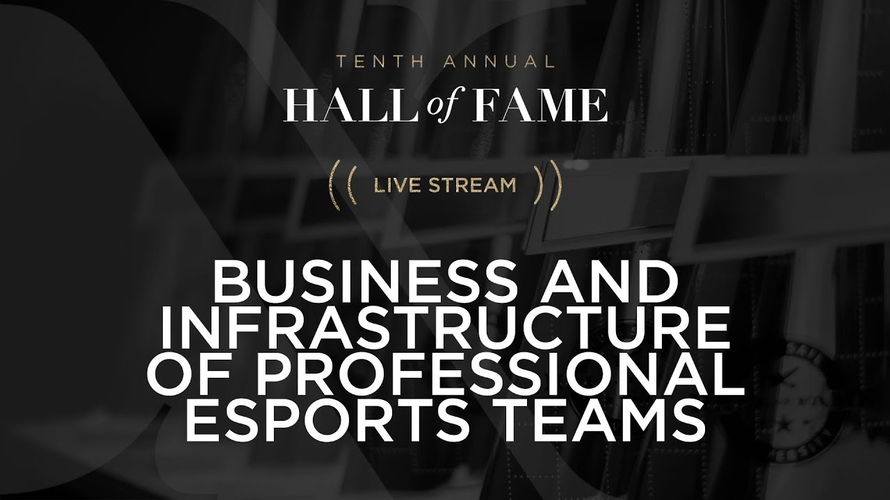 Business and Infrastructure of Professional Esports Teams