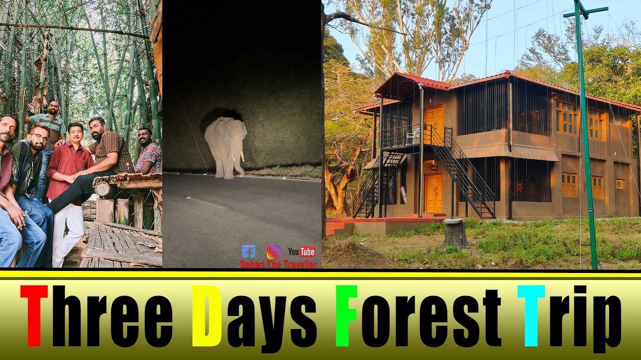 THREE DAYS FOREST TRIP | 3 DAYS FOREST PLAN
