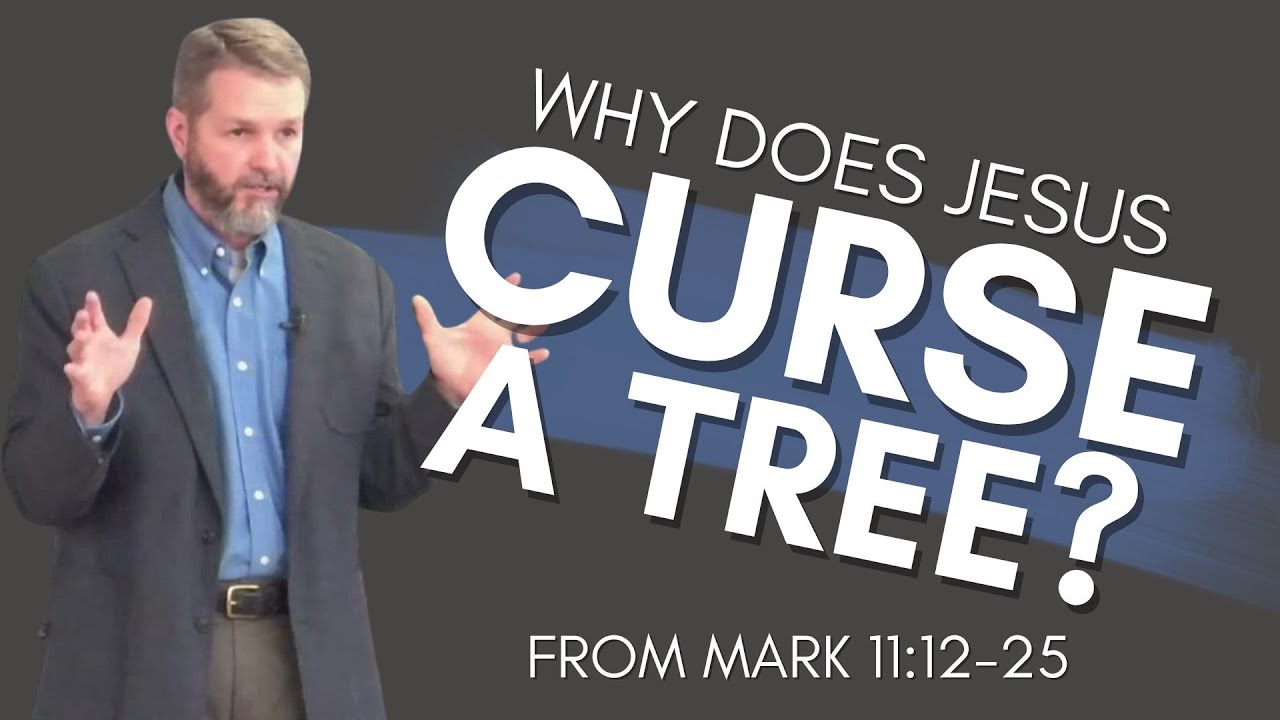 Why Does Jesus Curse a Tree? (from Mark 11:12-25)
