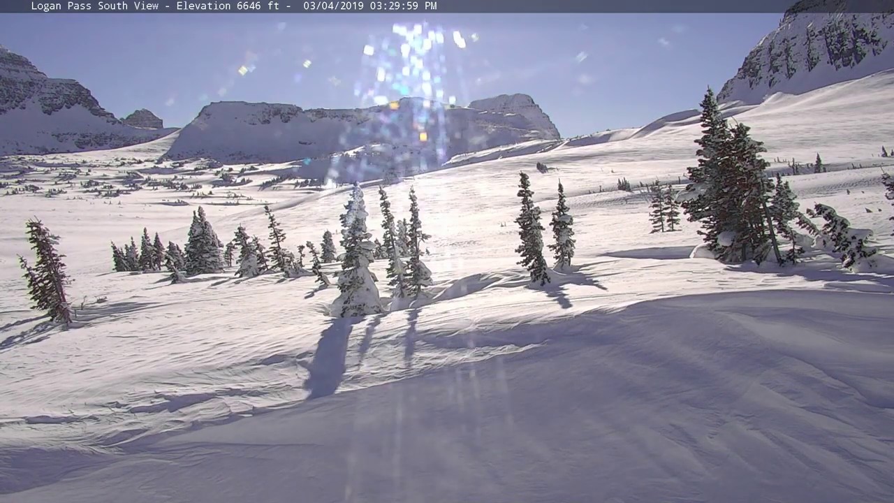 Logan Pass, GNP, March 2019 Reynolds Mountain