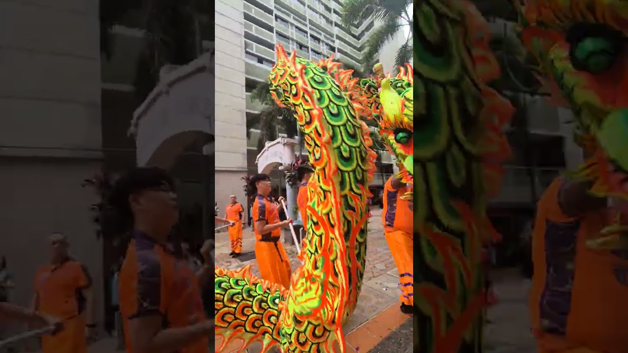 Dragon dance at Chinatown ( Dragon Brand Bird Nest )2026