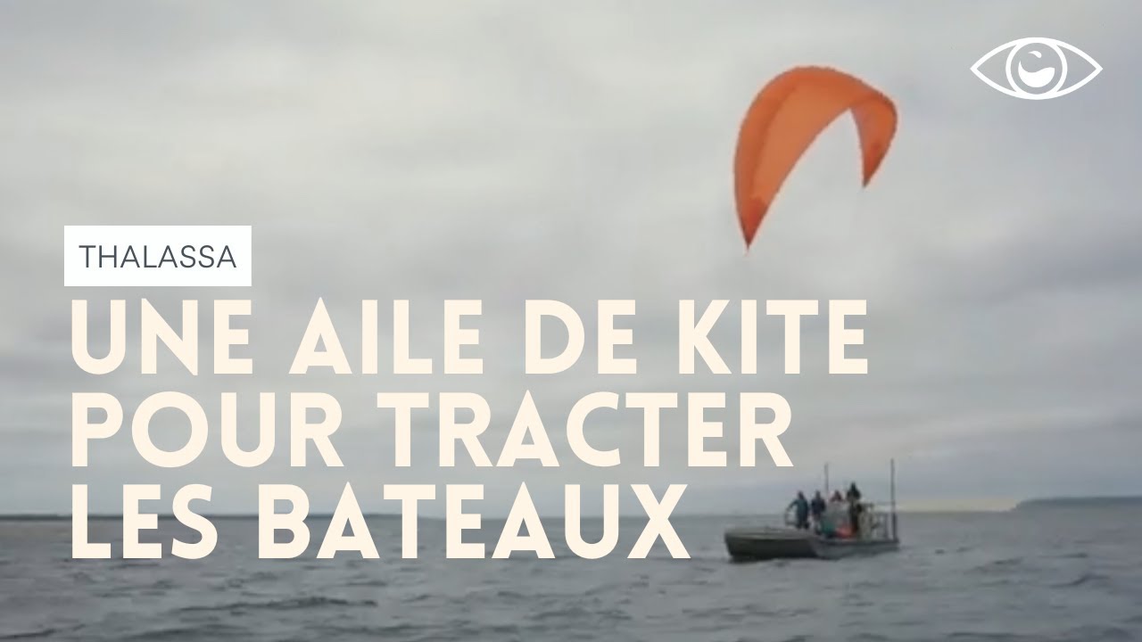 [ACTU] Une aile de kitesurf géante peut-elle tracter les bateaux ? Thalassa