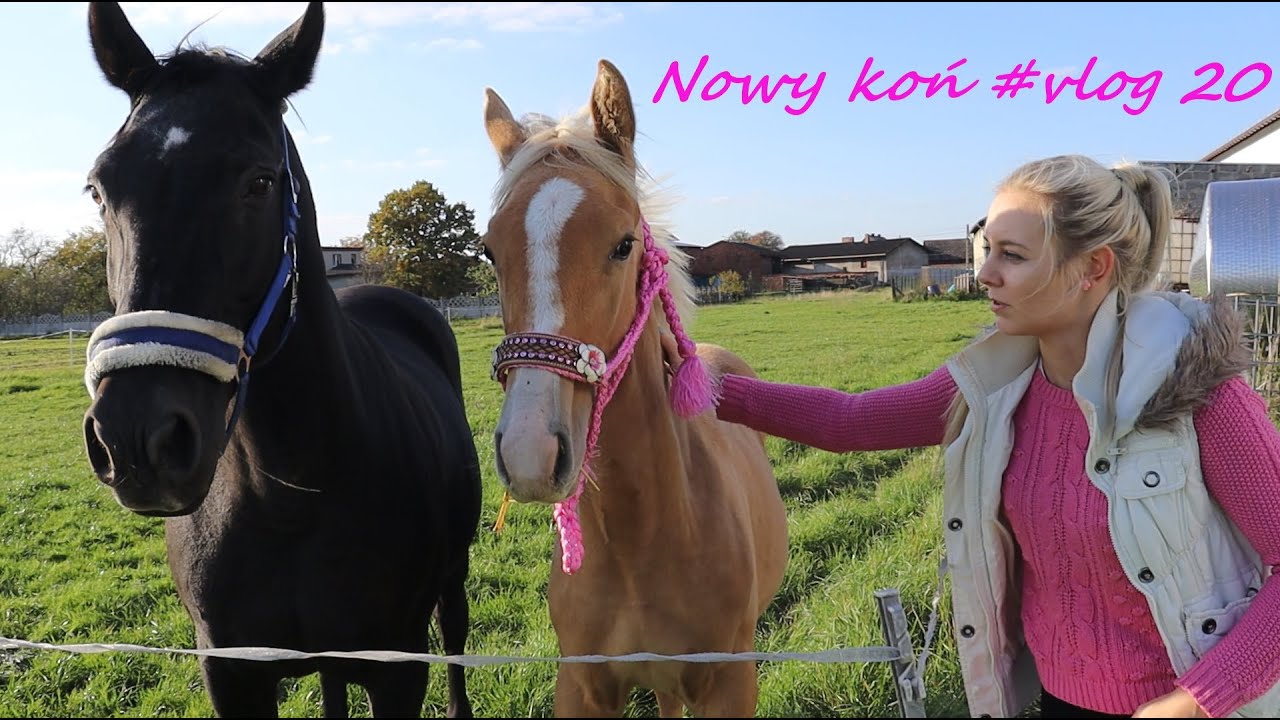 Nowy koń #vlog 20