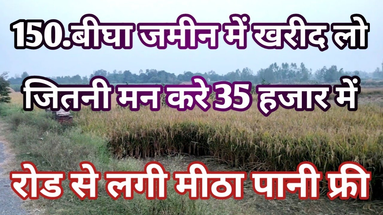 150.बीघा का फार्म हाउस बिकाऊ है रोड से लगा कीमत 35 हजार रुपया प्रति बीघा agriculture land for sale 