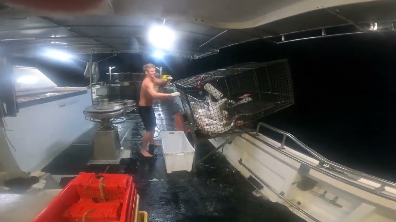 Trap fishing Offshore Western Australia F.V. Seapearl 3