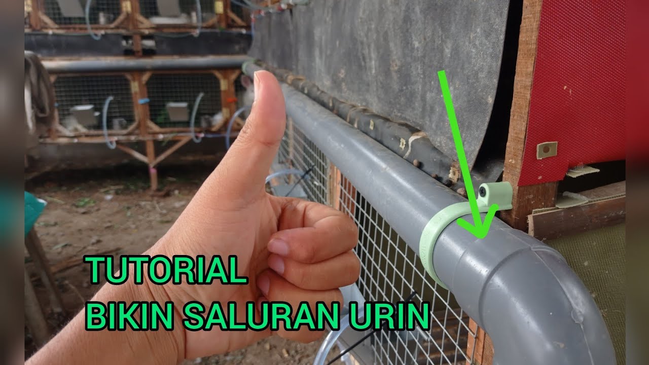 #107 Cara membuat saluran urin kandang kelinci