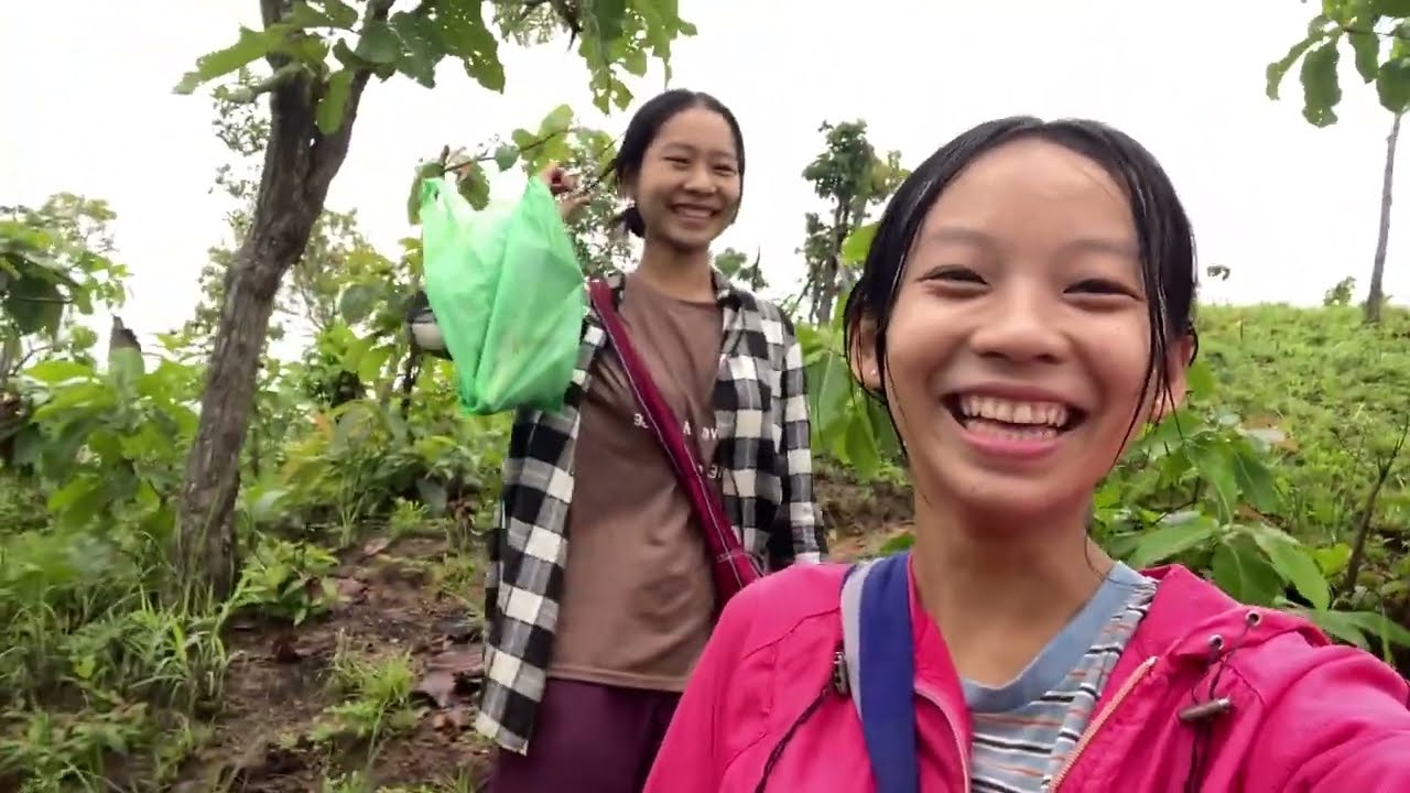 Karenni Girls Finding Mountain Mushrooms 🍄 2025