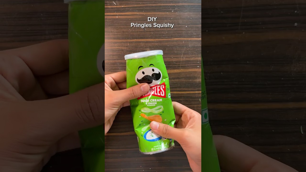 DIY Pringles Squishy ✨👀#diy #craft #shorts #youtubeshorts #trending #viral #fyp