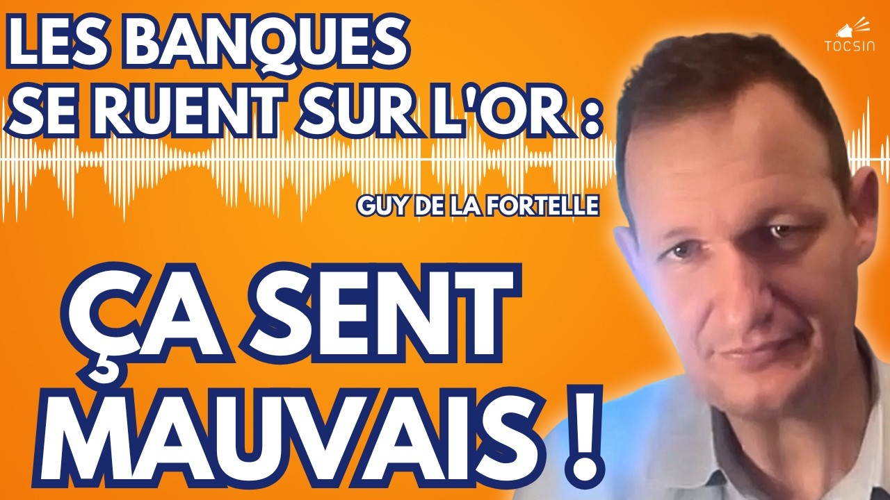 La crise financière est déjà là ! - Guy de la Fortelle