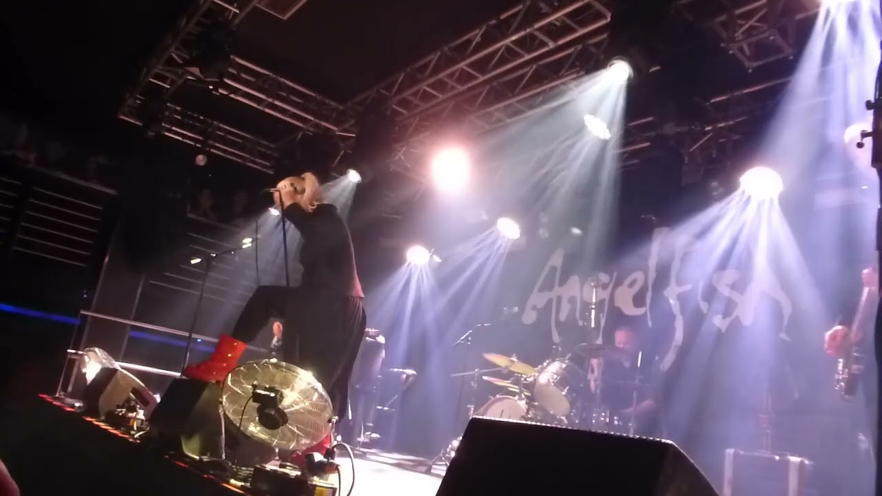 Angelfish - The Sun Won’t Shine , Edinburgh Liquid Room 31/1/2026