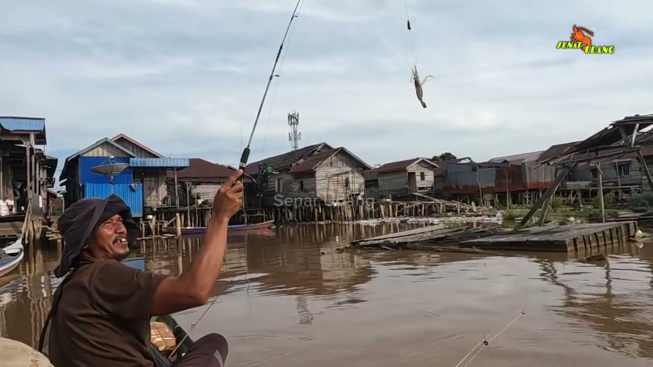 Memang sarangnya udang galah di sungai ini‼️