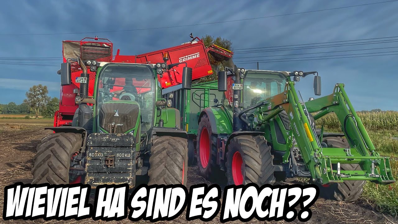 409: Neue Kisten für noch mehr Knollen! 💪