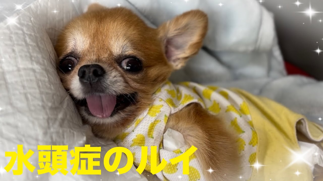 2025年9月26日　がんばりました