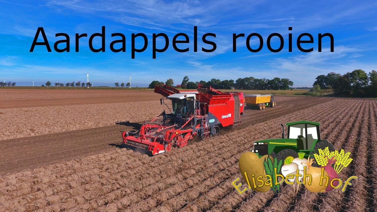 Aardappels rooien | 26 september 2018 | Elisabeth hof